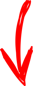 Seta